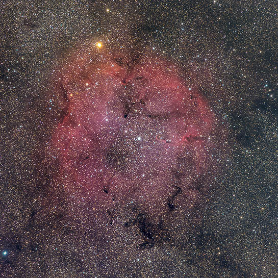 IC1396