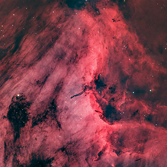 ペリカン星雲頭部