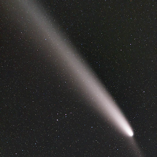 紫金山・アトラス彗星
