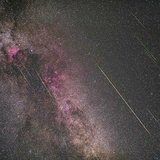 ペルセ流星群2016 白鳥座